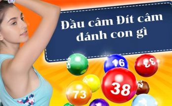 Cách tính để đánh khi đít 8 câm